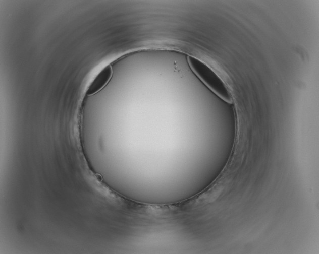 X0000113150960200909181748