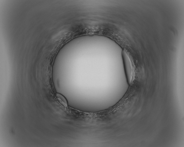 X0000113150961200909181747