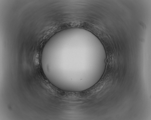 X0000113150962200909181747