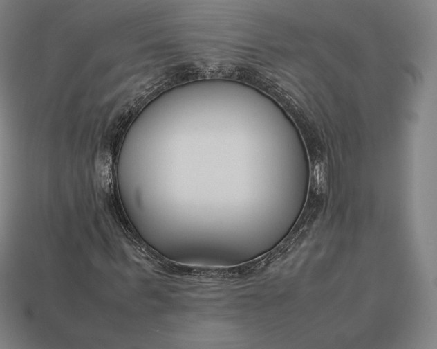 X0000113150963200909181747