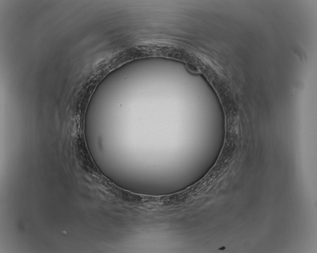 X0000113150965200909181747