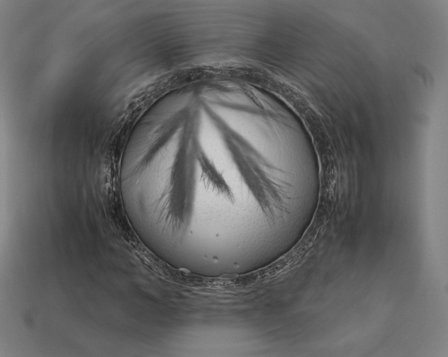 X0000113150966200909181747