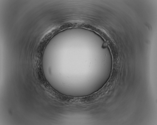 X0000113150967200909181747