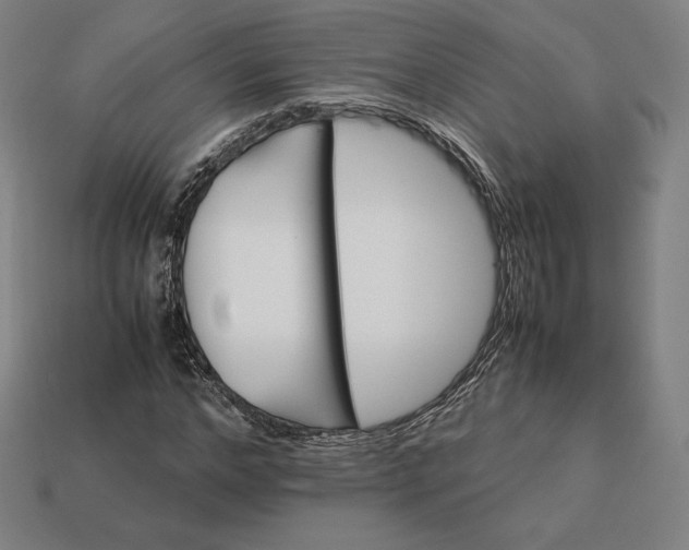 X0000113150968200909181747