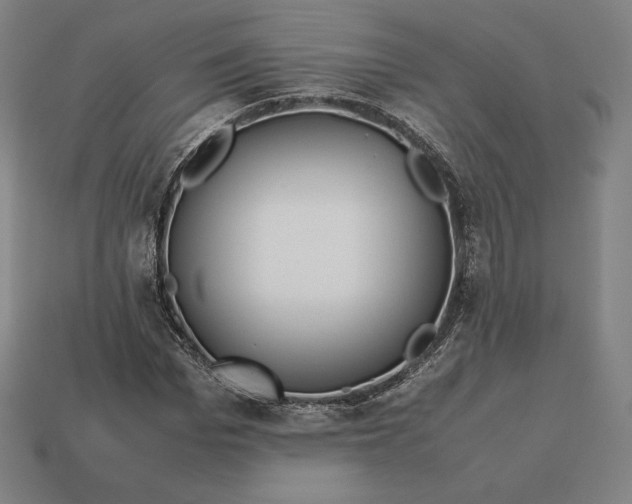 X0000113150969200909181747