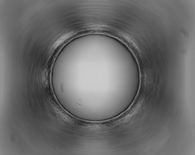 X0000113150970200909181747