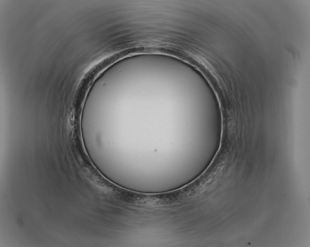 X0000113150971200909181747