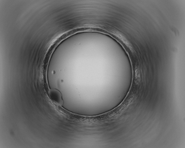 X0000113150972200909181747