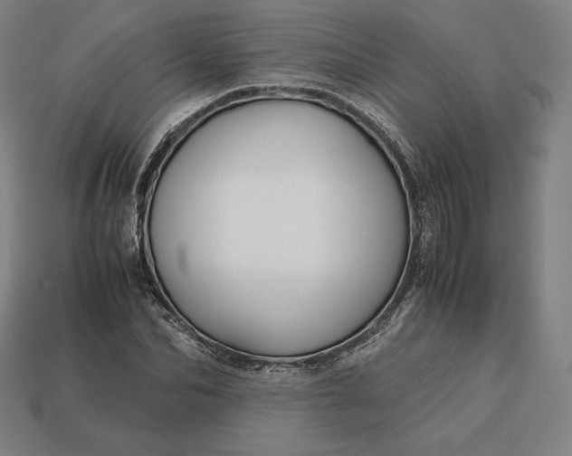 X0000113150974200909181747