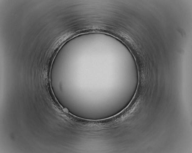 X0000113150977200909181747