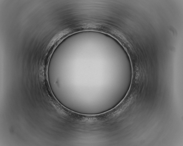 X0000113150978200909181747