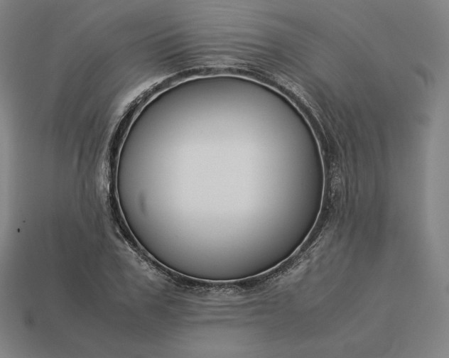 X0000113150979200909181747