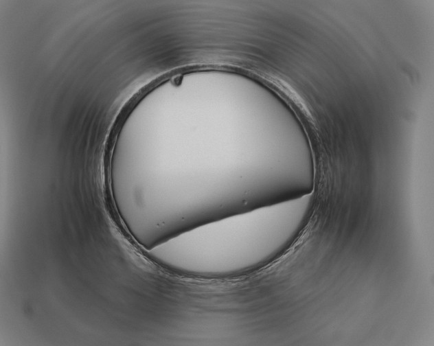 X0000113150980200909181747