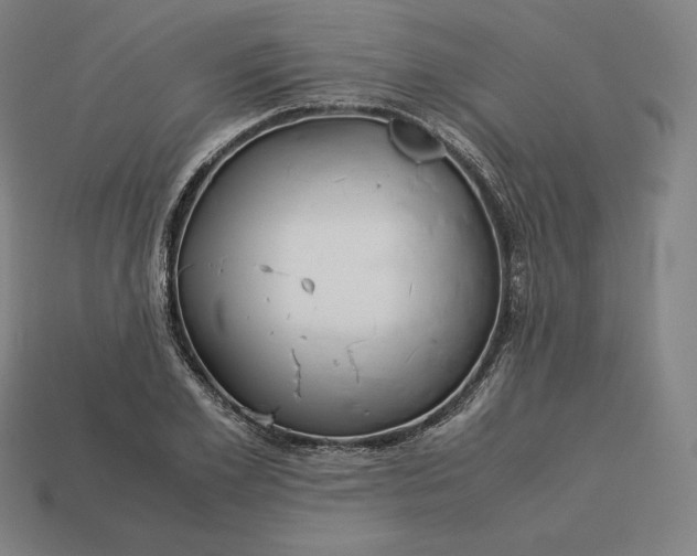 X0000113150981200909181747