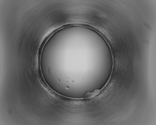 X0000113150982200909181747