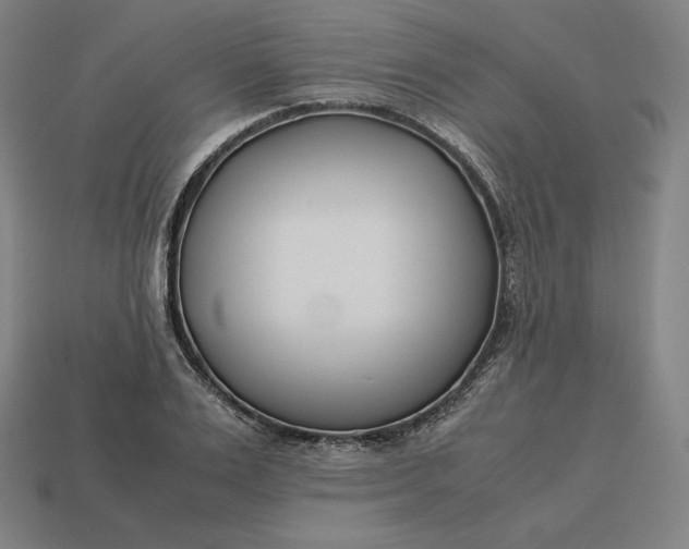 X0000113150983200909181747