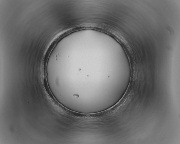 X0000113150984200909181747