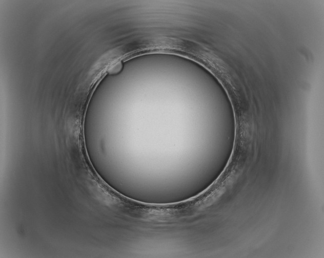 X0000113150985200909181747