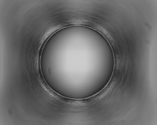 X0000113150986200909181747