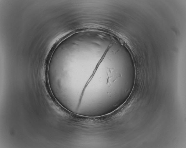 X0000113150987200909181747