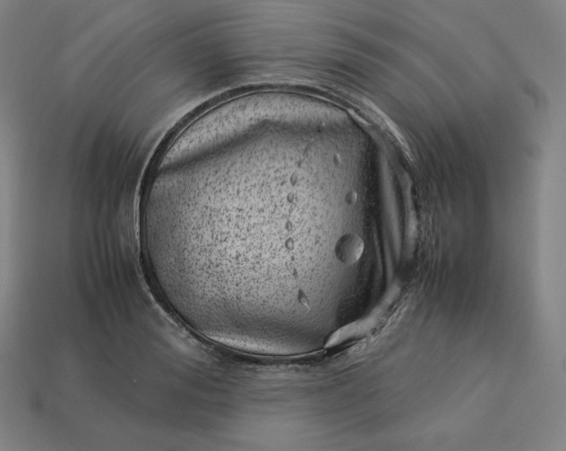 X0000113150988200909181747