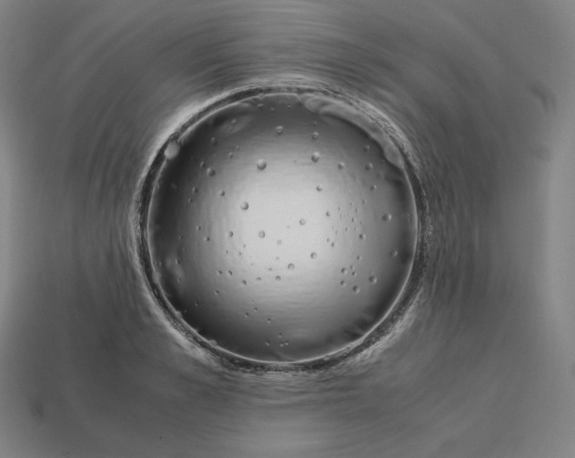 X0000113150989200909181747