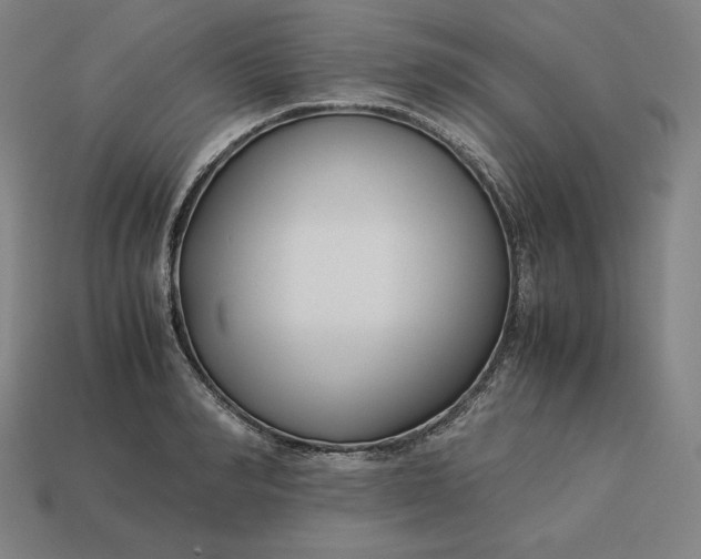 X0000113150990200909181747