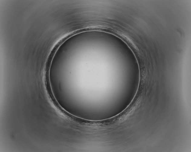 X0000113150991200909181747