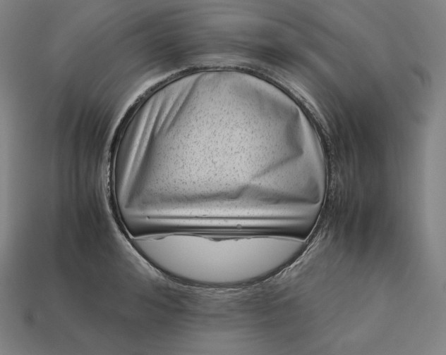 X0000113150992200909181747