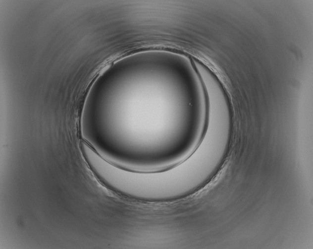 X0000113150993200909181747