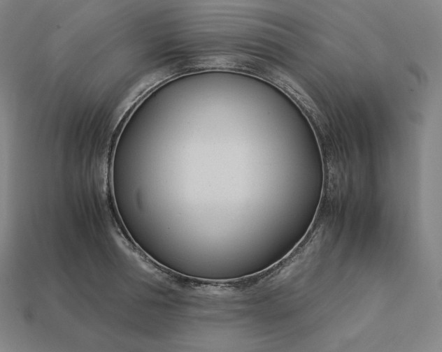 X0000113150994200909181747