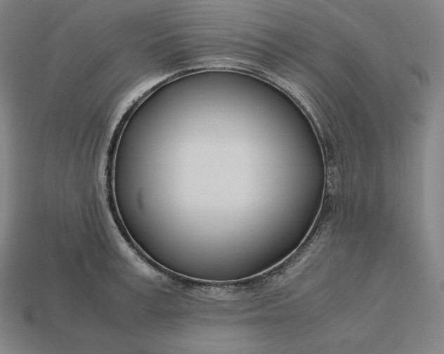 X0000113150995200909181747