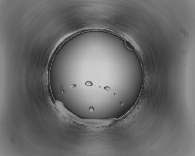 X0000113150996200909181747