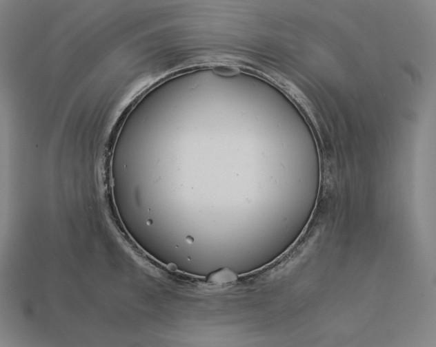 X0000113150997200909181747