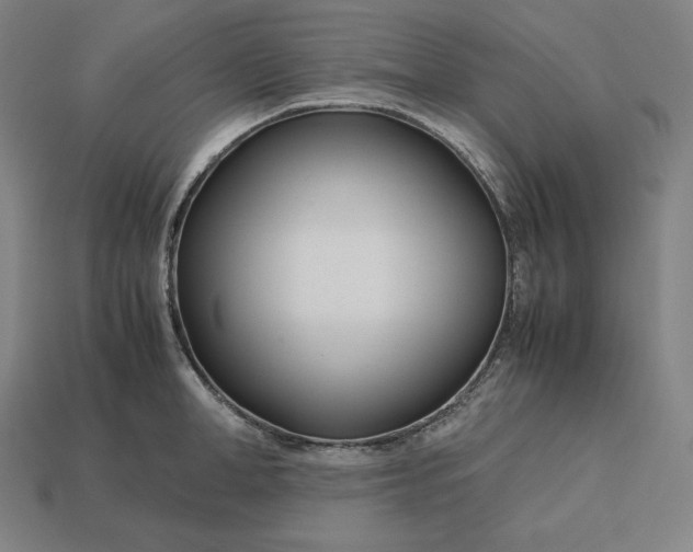 X0000113150998200909181747