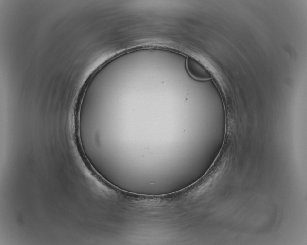 X0000113150999200909181747