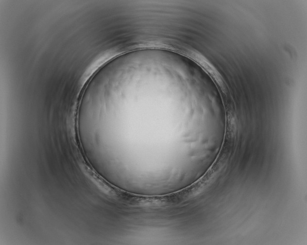 X0000113151002200909181746