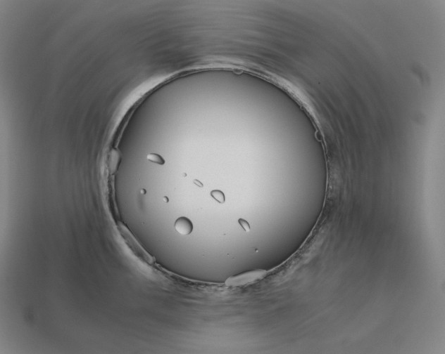 X0000113151003200909181746