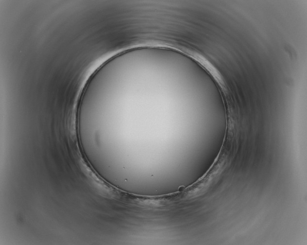 X0000113151004200909181746