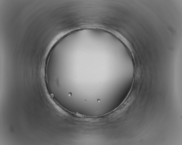 X0000113151005200909181746