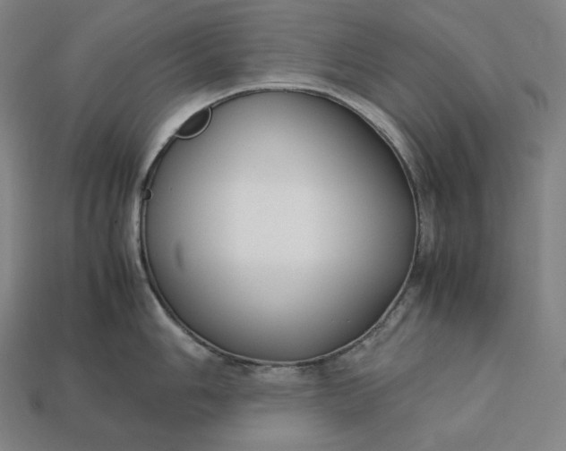 X0000113151006200909181746