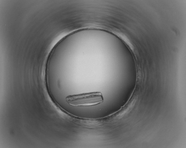 X0000113151007200909181746