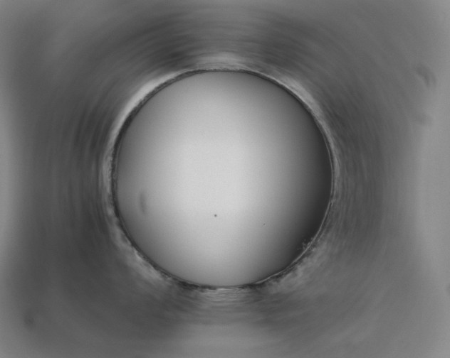 X0000113151008200909181746