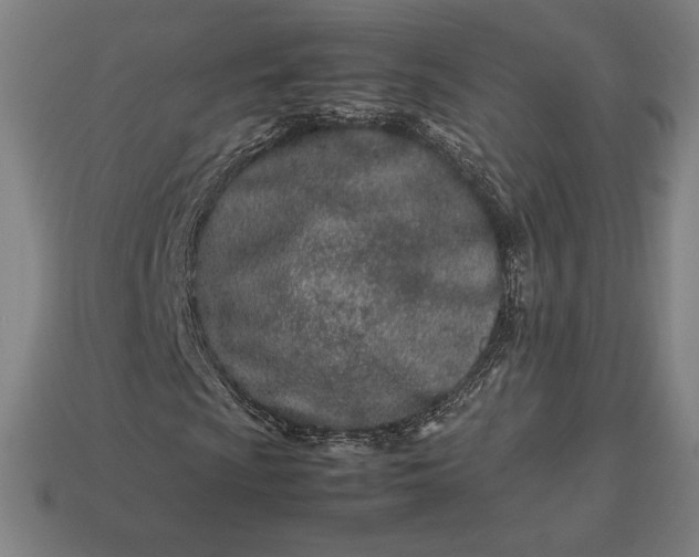 X0000113151009200909181746