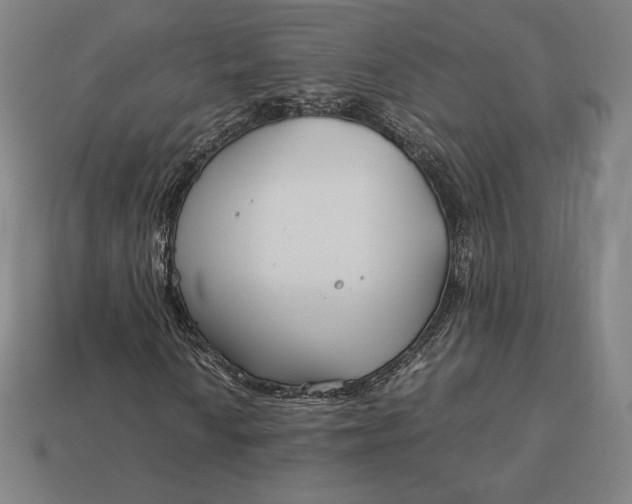 X0000113151010200909181746