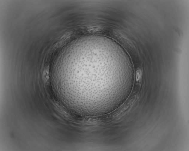 X0000113151011200909181746