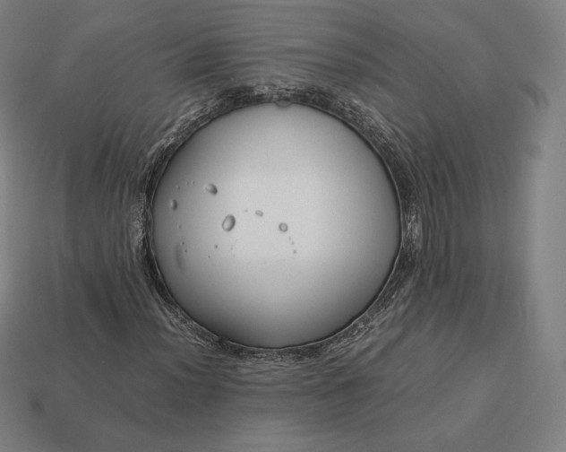 X0000113151012200909181746