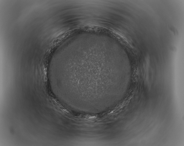 X0000113151013200909181746