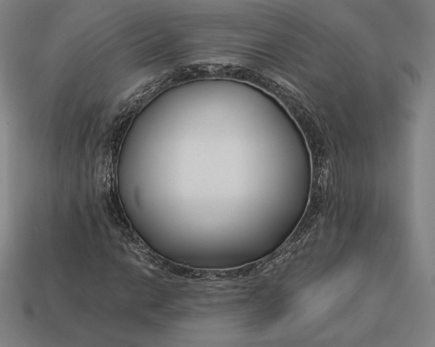 X0000113151014200909181746