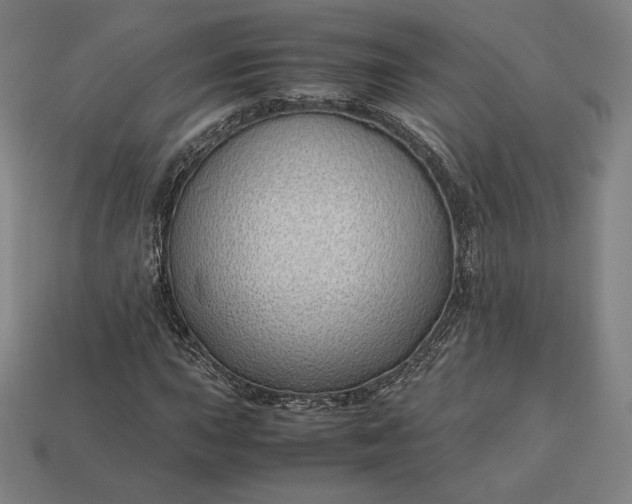 X0000113151015200909181746